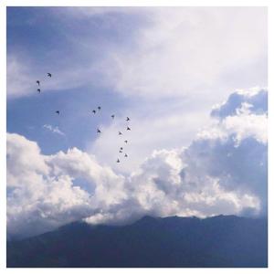 草逼逼视频小说
