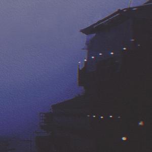 草逼逼视频小说
